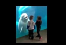 Bambini all’acquario