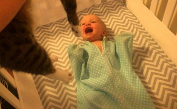 I bambini amano i gatti