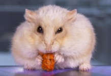 Scorte per l’inverno