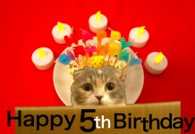 Buon compleanno Mu-chan