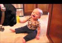 Tranquillo, non perdo mai la pazienza