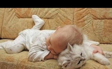 Bambini felici con i loro a-mici