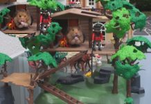 Un palazzo tutto a misura di criceto