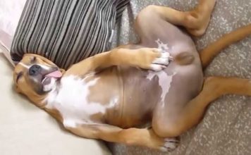 Il sonno ha la meglio