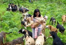 Territorio de Zaguates