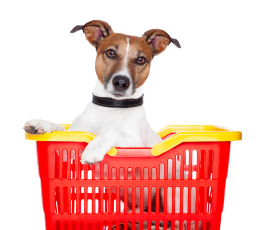 Fido fa la spesa al super
