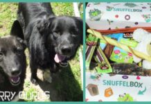 Un regalo molto gradito