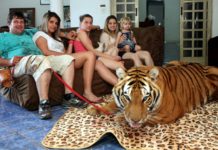 Vivere con una tigre