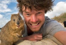 Quokka selfie
