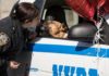 Polizia di New York salva la vita a un cane e lo aiuta a trovare una casa