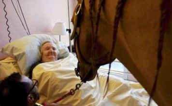 Peyo, il cavallo che riporta la memoria e il sorriso ai malati di Alzheimer