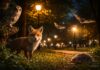 Animali selvatici e luci artificiali: cosa cambia davvero di notte Animali selvatici e luci artificiali